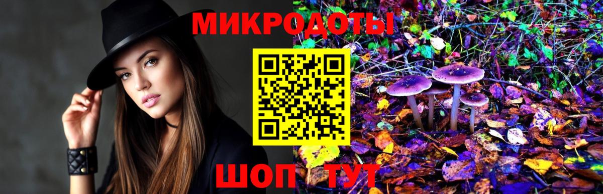 Псилоцибиновые грибы MAGIC MUSHROOMS  купить наркотики цена  Усть-Илимск  Вход с VPN 