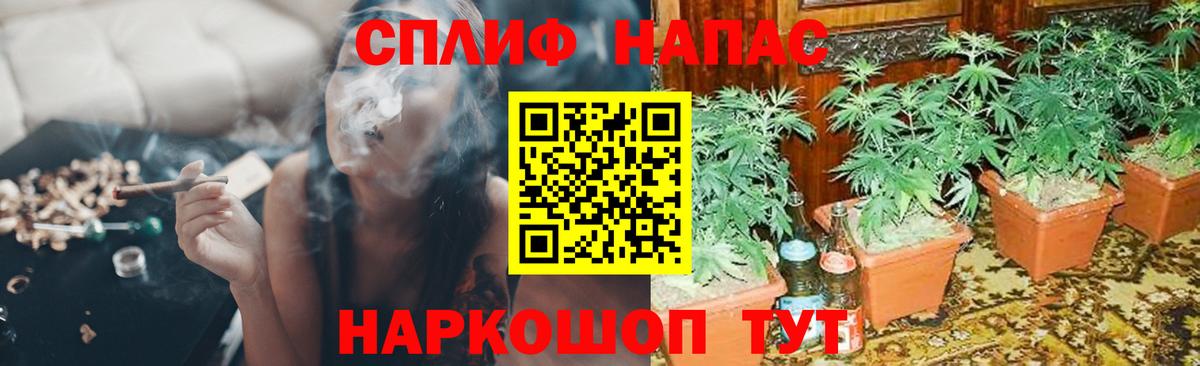 Бошки Шишки Amnesia Усть-Илимск